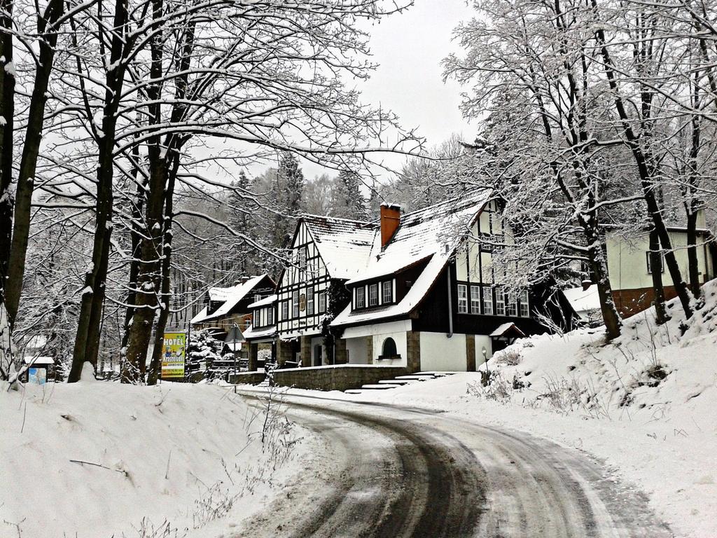 Willa Smieszek Sosnowka  Exterior photo