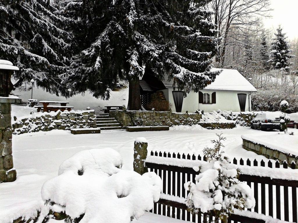Willa Smieszek Sosnowka  Exterior photo