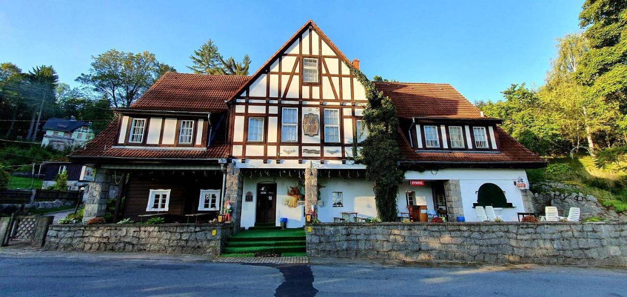 Willa Smieszek Sosnowka  Exterior photo